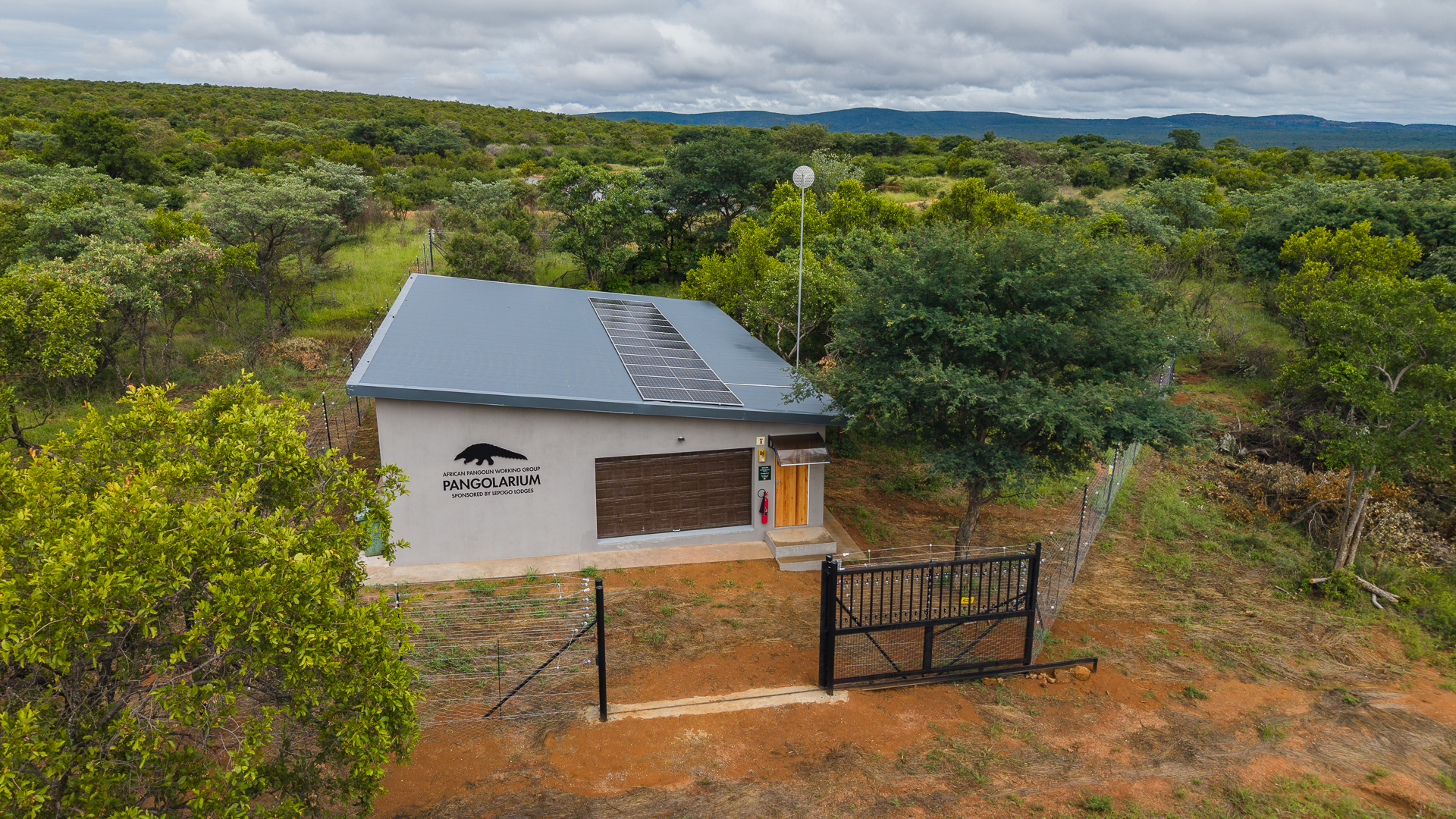 FMIA - Pangolin project 00